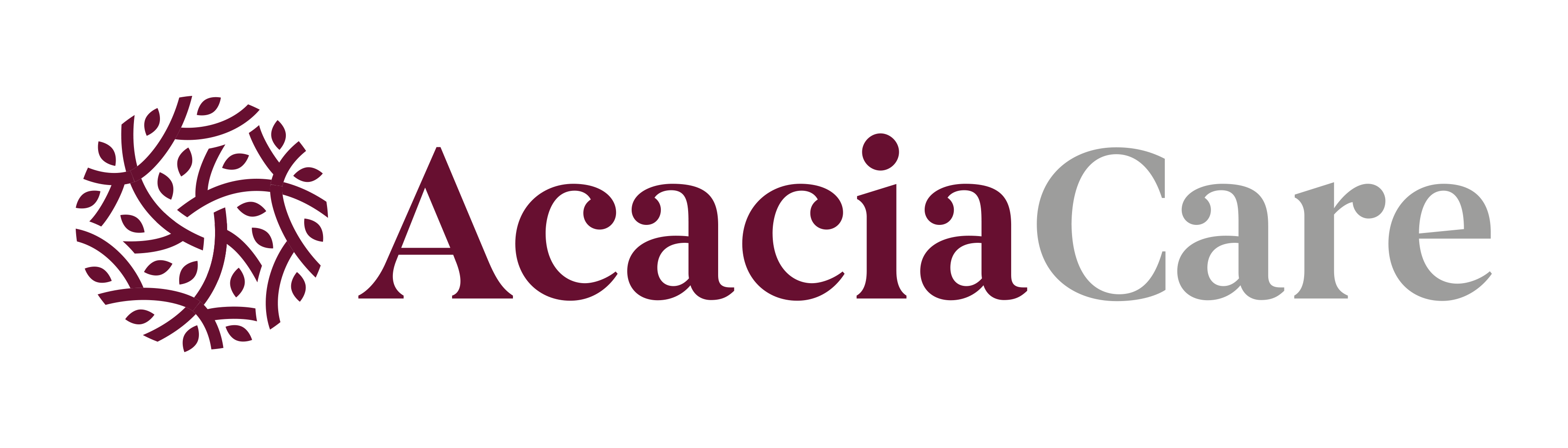 AcaciaCare_Logo